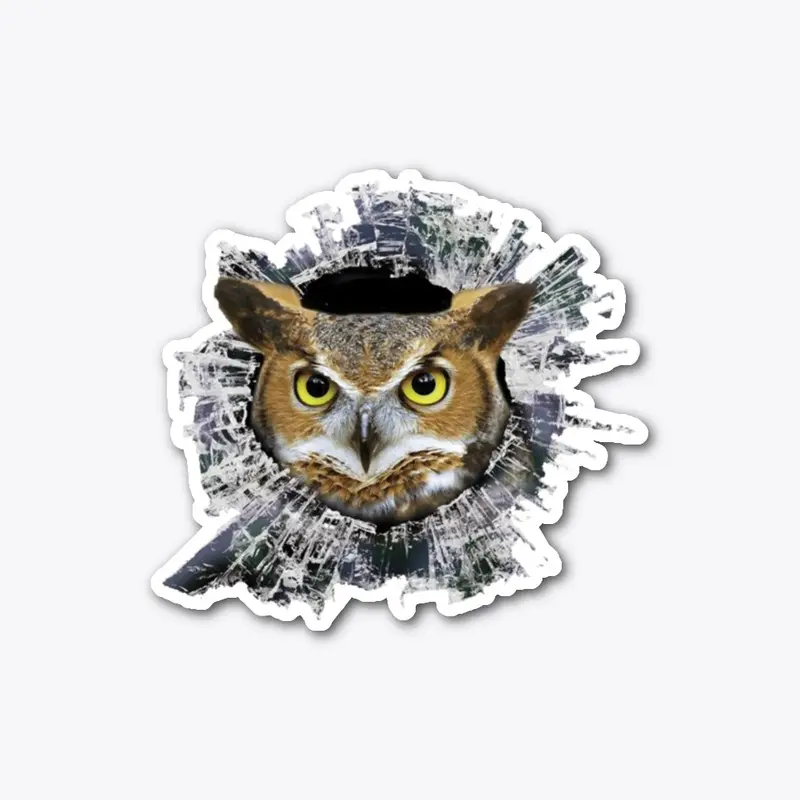 OWL Sticker  - Owls Stickers for Cars