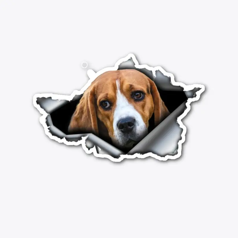 Best Beagle Car Stickers