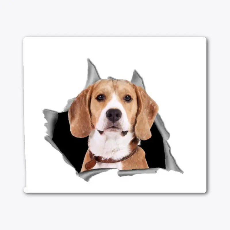 Beagle car decal - Beagle Sticker