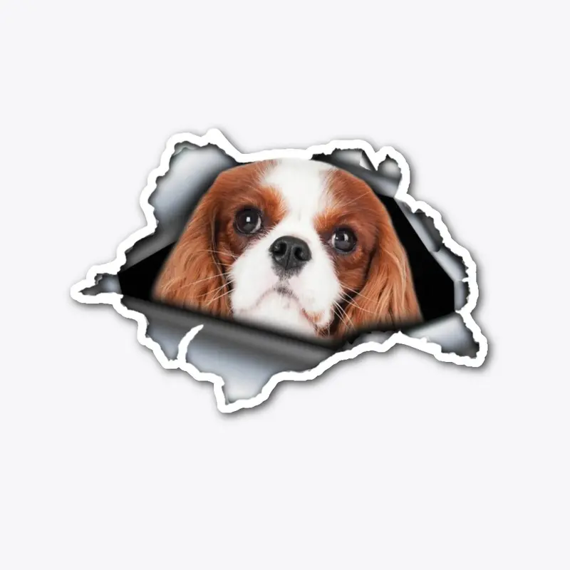 Cavalier King Charles Car Sticker