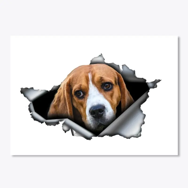 Best Beagle Car Stickers