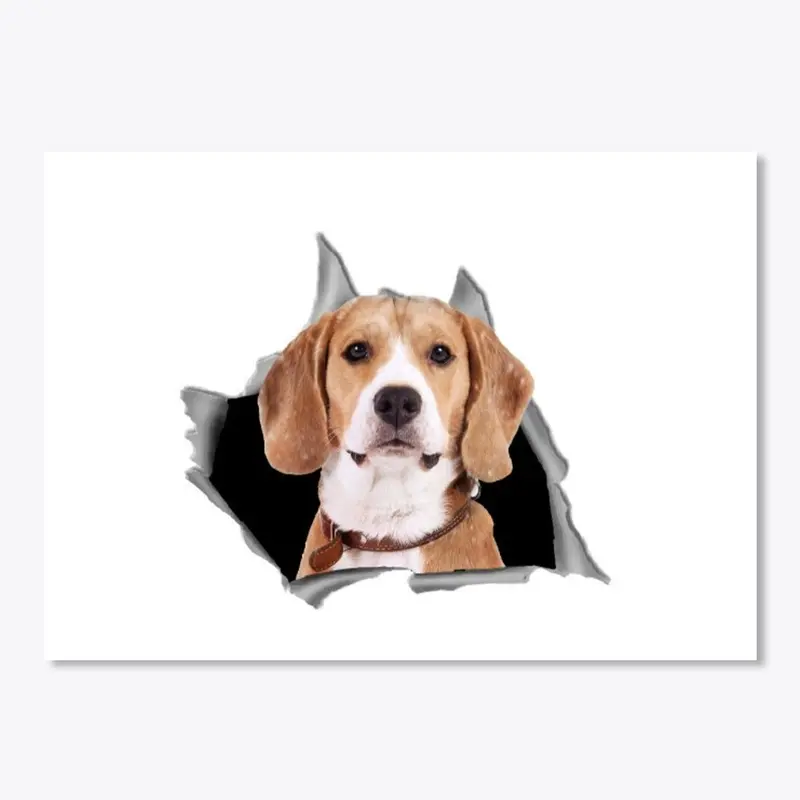 Beagle car decal - Beagle Sticker